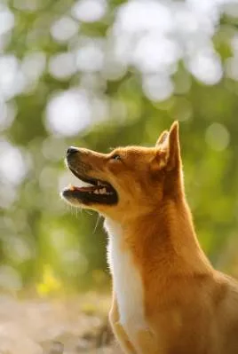 家中驚見這3種動物!閻王爺暗示陽壽將盡 別鐵齒 第 6 張