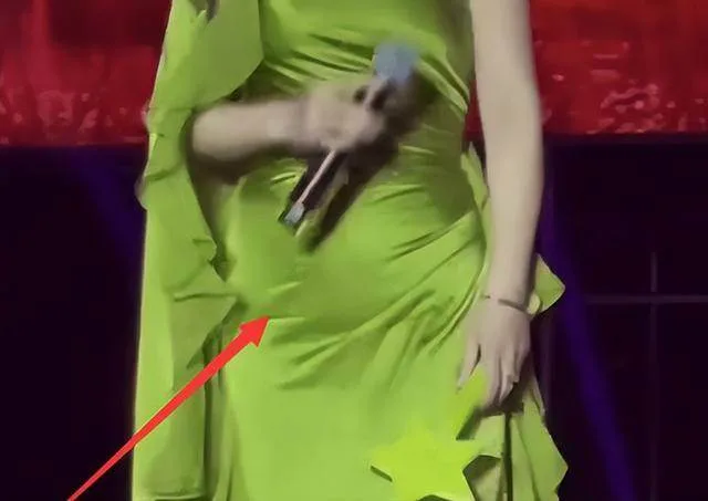 55歲歌后為愛引退露面了!肉肚溢位洋裝粉絲看傻:女神也淪陷 第 6 張